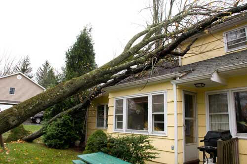 Storm Damage